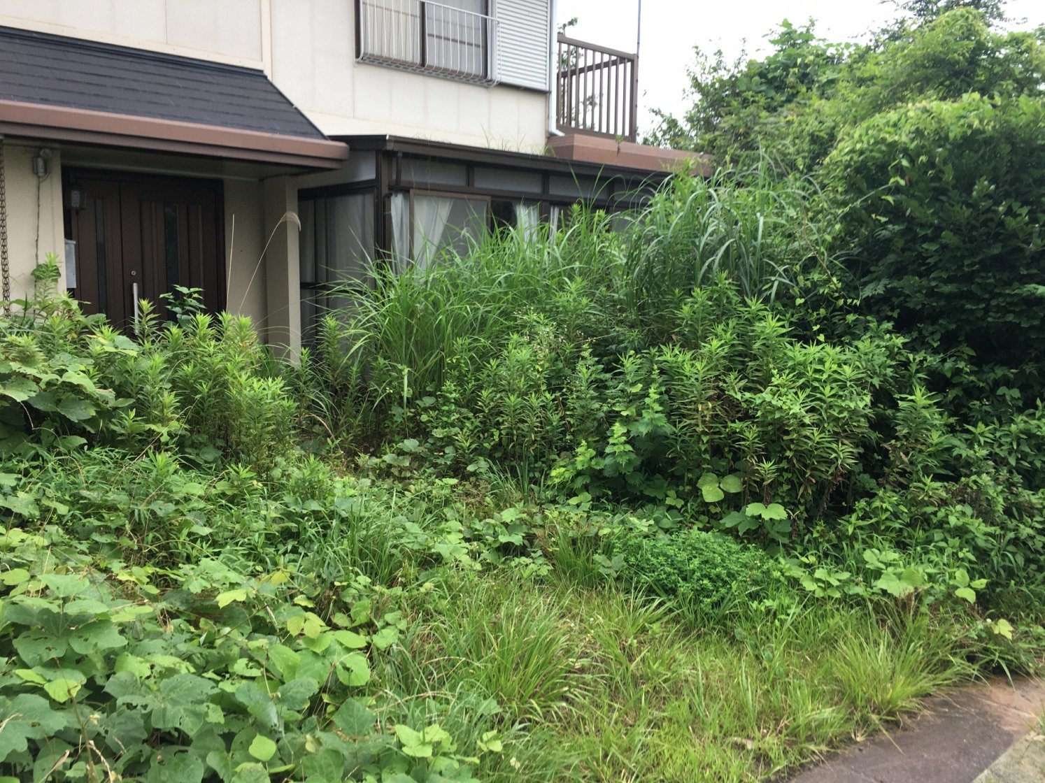 草木が伸びた空き家のイメージ